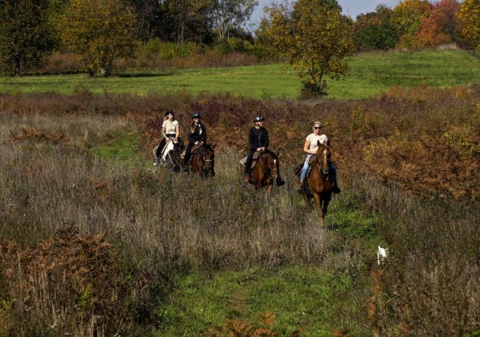 Star rides in the Plitvice region