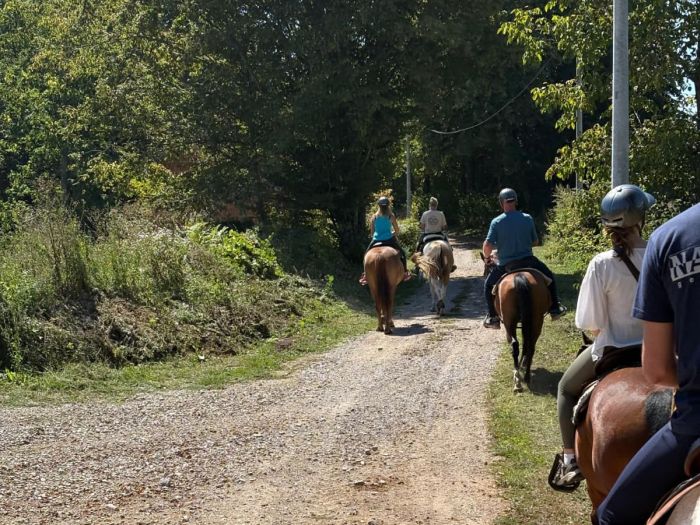 Star rides in the Plitvice region