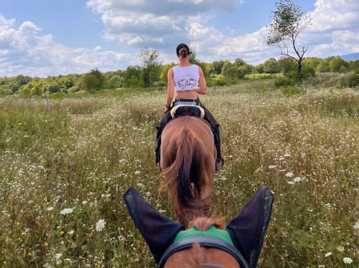 Star rides in the Plitvice region