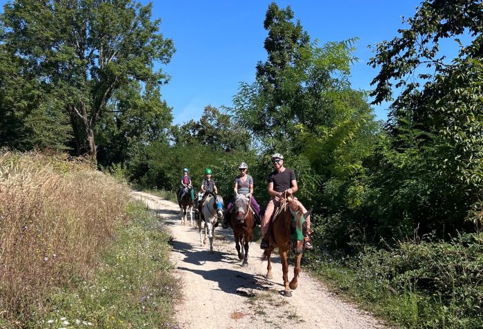 Star rides in the Plitvice region