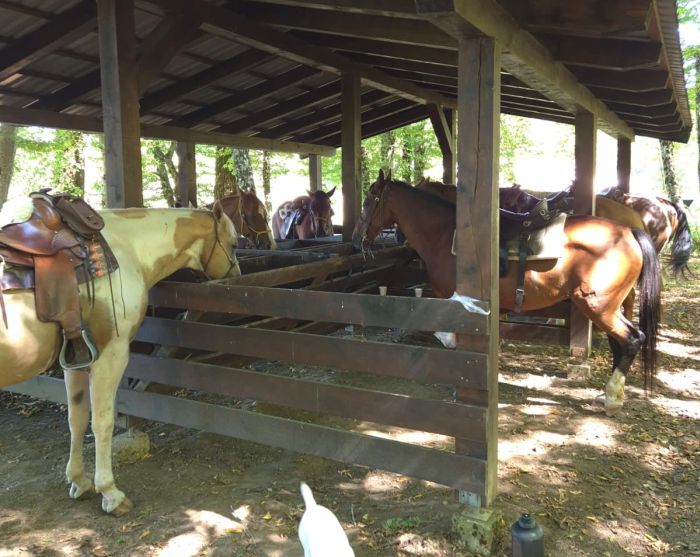 Star rides in the Plitvice region