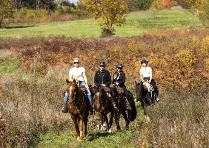 Star rides in the Plitvice region