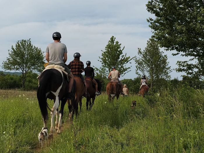 Star rides in the Plitvice region