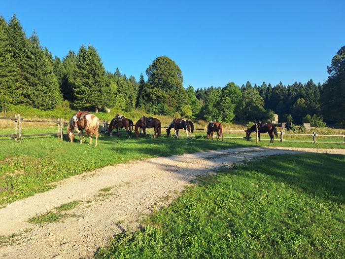 Star rides in the Plitvice region