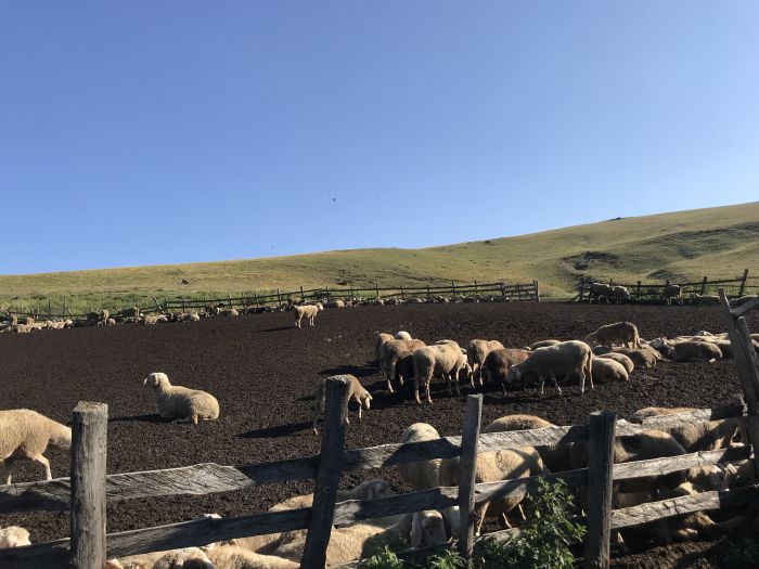 Sar Planina adventure ride