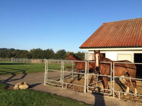 Vacation with your own horse/rental horse in the moor
