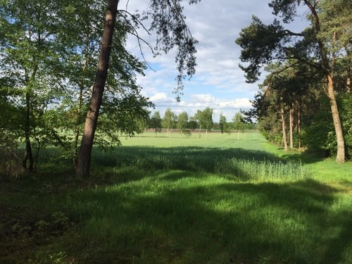 Vacation with your own horse/rental horse in the moor