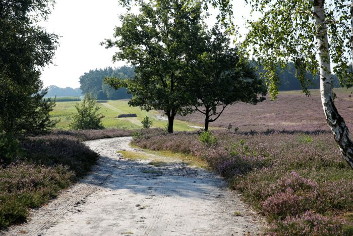 Vacation with your own horse/rental horse in the moor