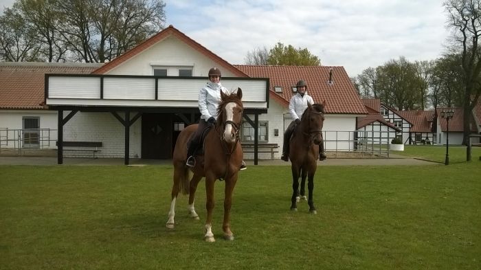 Vacation with your own horse/rental horse in the moor