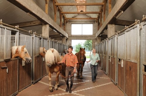Vacation with your own horse/rental horse in the moor