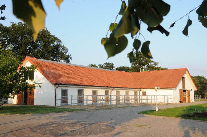 Vacation with your own horse/rental horse in the moor