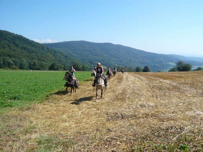 Western riding in the Bavarian Forest
<h3 class=