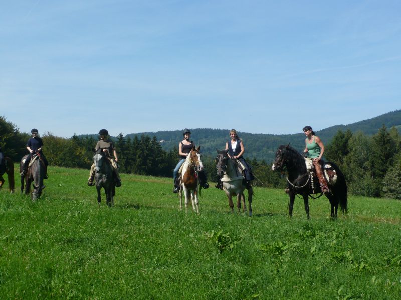 Western riding in the Bavarian Forest
<h3 class=