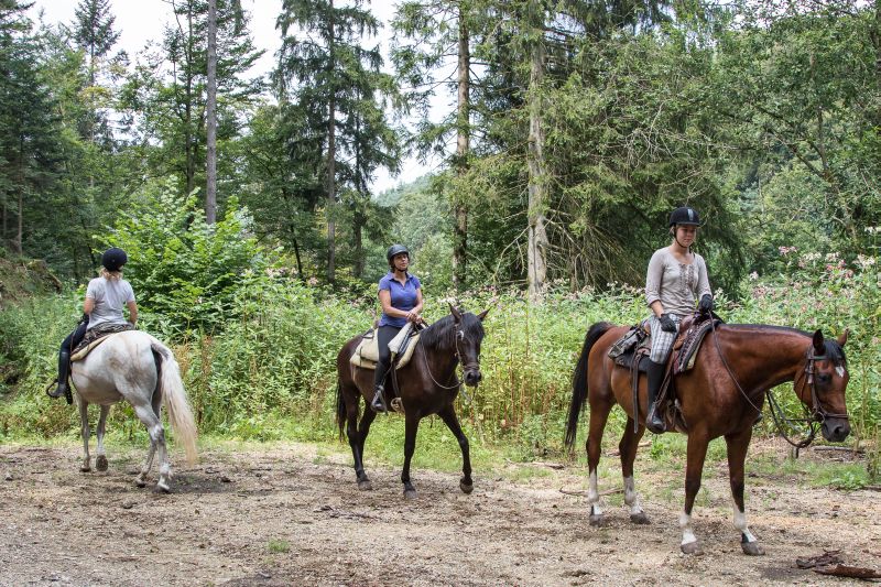 Western riding in the Bavarian Forest
<h3 class=