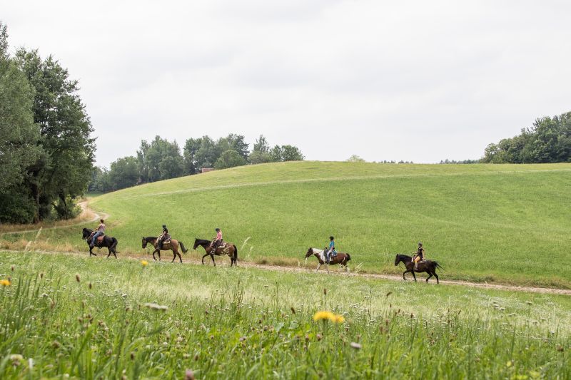 Western riding in the Bavarian Forest
<h3 class=