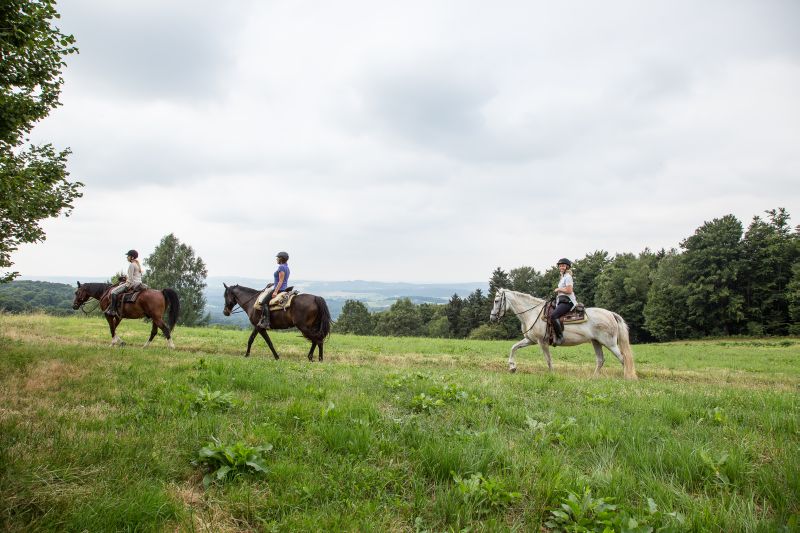 Western riding in the Bavarian Forest
<h3 class=