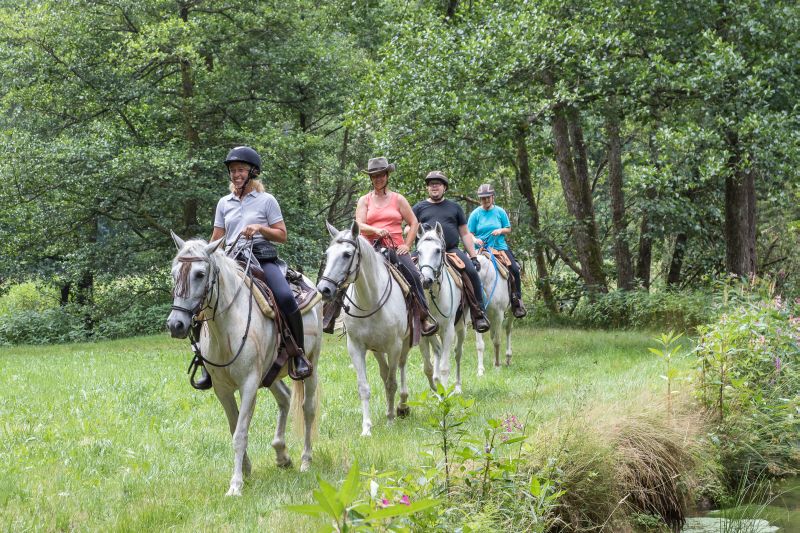Western riding in the Bavarian Forest
<h3 class=