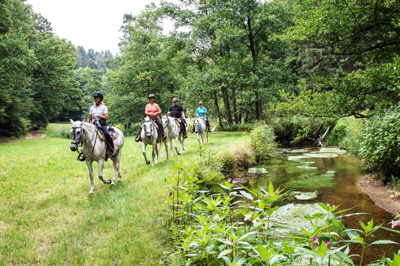 Western riding in the Bavarian Forest
<h3 class=