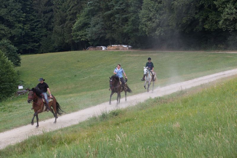Western riding in the Bavarian Forest
<h3 class=