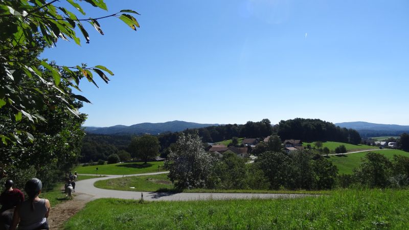 Western riding in the Bavarian Forest
<h3 class=