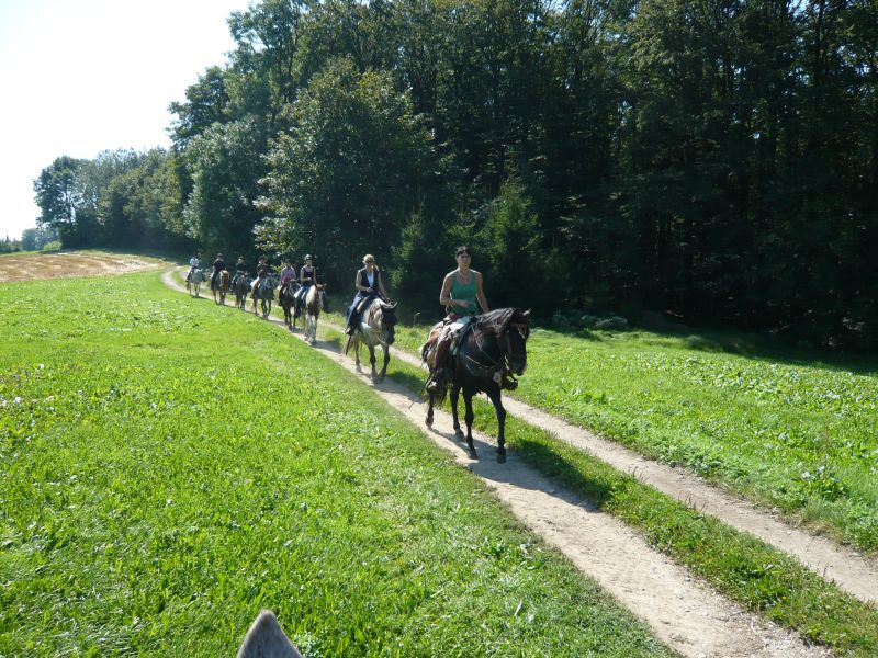 Western riding in the Bavarian Forest
<h3 class=