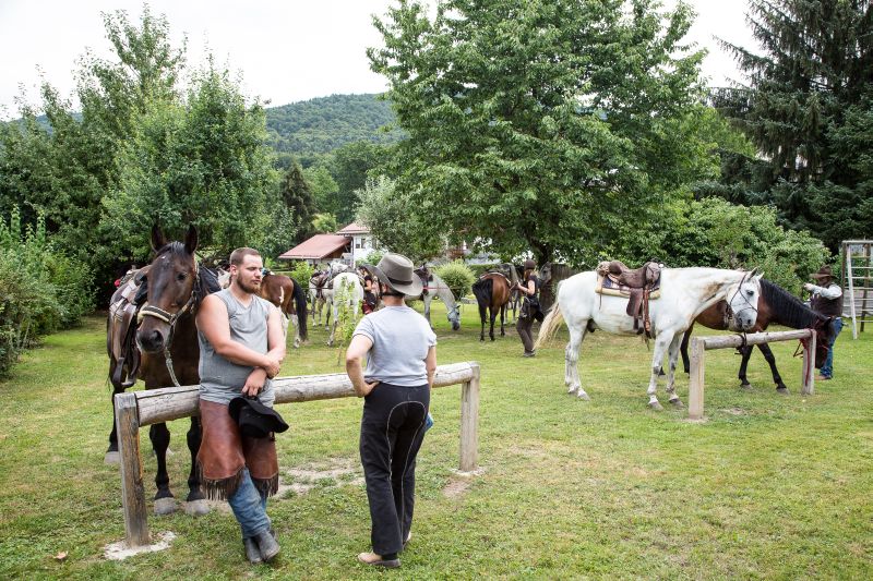 Western riding in the Bavarian Forest
<h3 class=