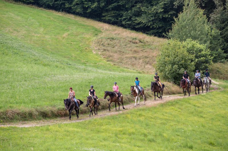 Western riding in the Bavarian Forest
<h3 class=