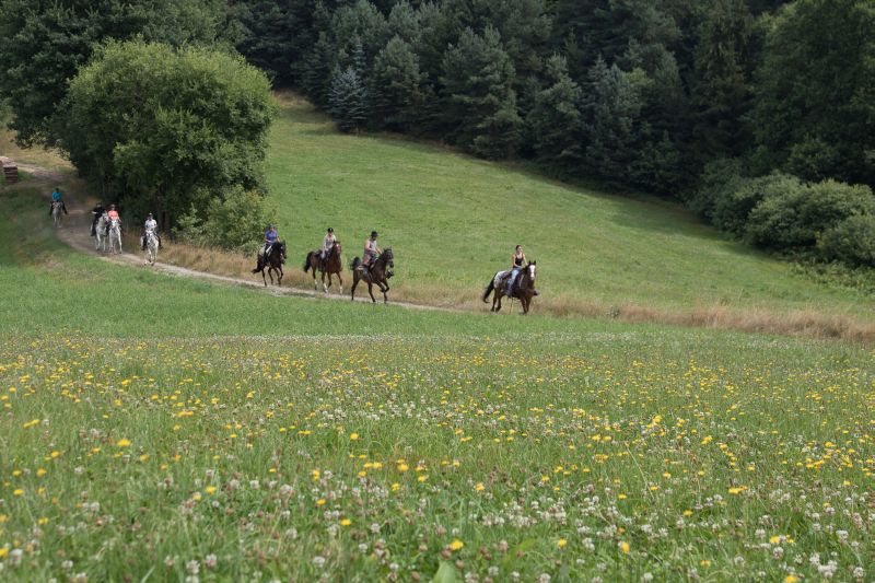 Western riding in the Bavarian Forest
<h3 class=
