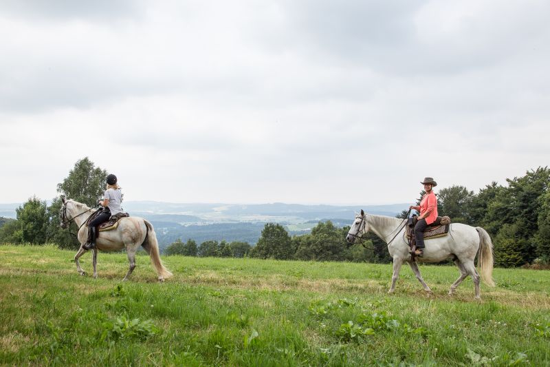 Western riding in the Bavarian Forest
<h3 class=