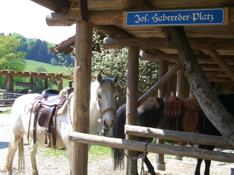 Western riding in the Bavarian Forest
<h3 class=