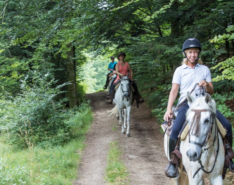 Western riding in the Bavarian Forest
<h3 class=