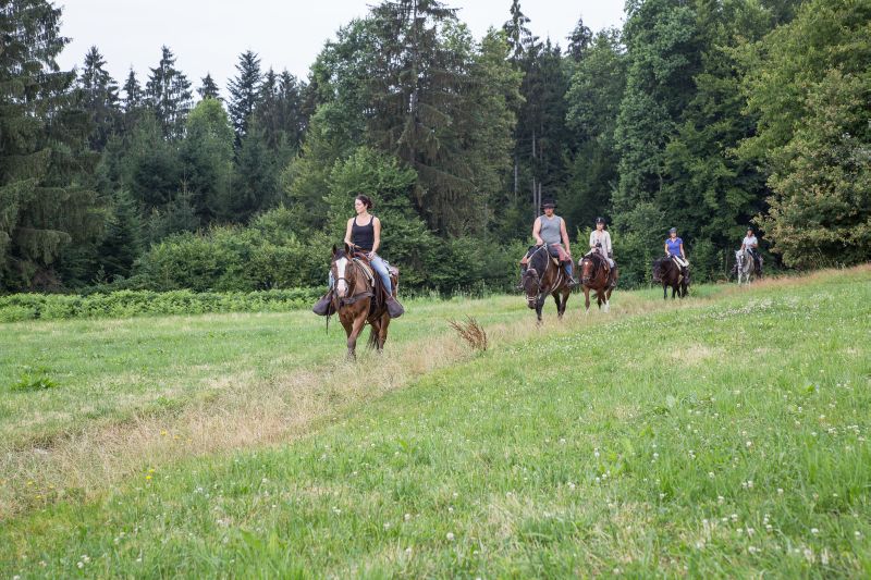 Western riding in the Bavarian Forest
<h3 class=
