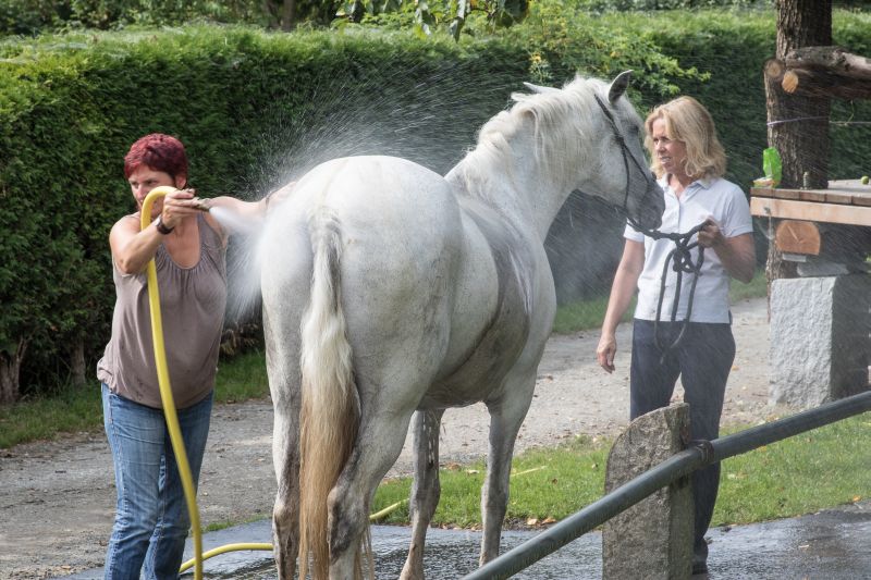 Western riding in the Bavarian Forest
<h3 class=