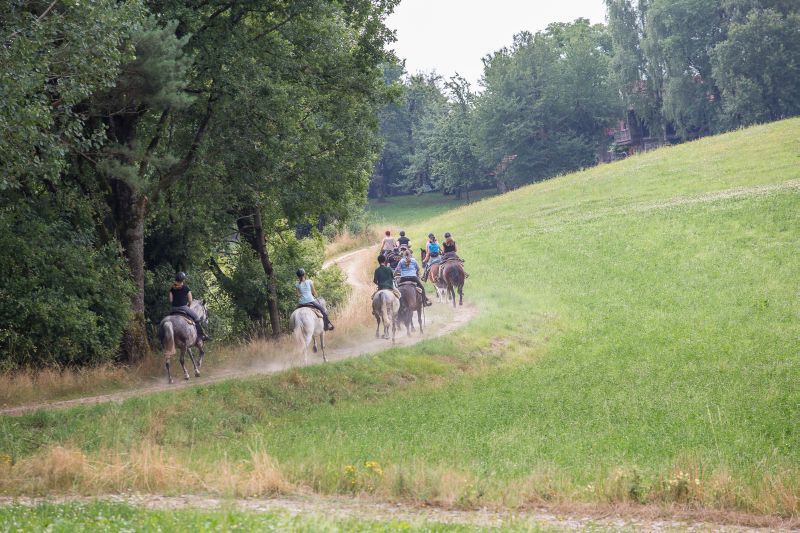 Western riding in the Bavarian Forest
<h3 class=