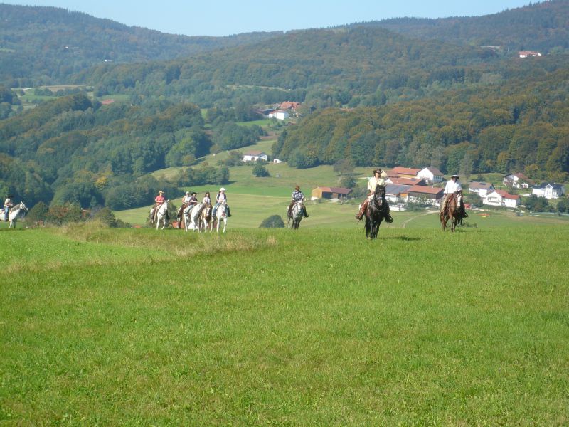 Western riding in the Bavarian Forest
<h3 class=