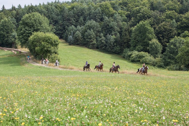 Western riding in the Bavarian Forest
<h3 class=