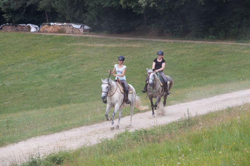 Western riding in the Bavarian Forest
<h3 class=