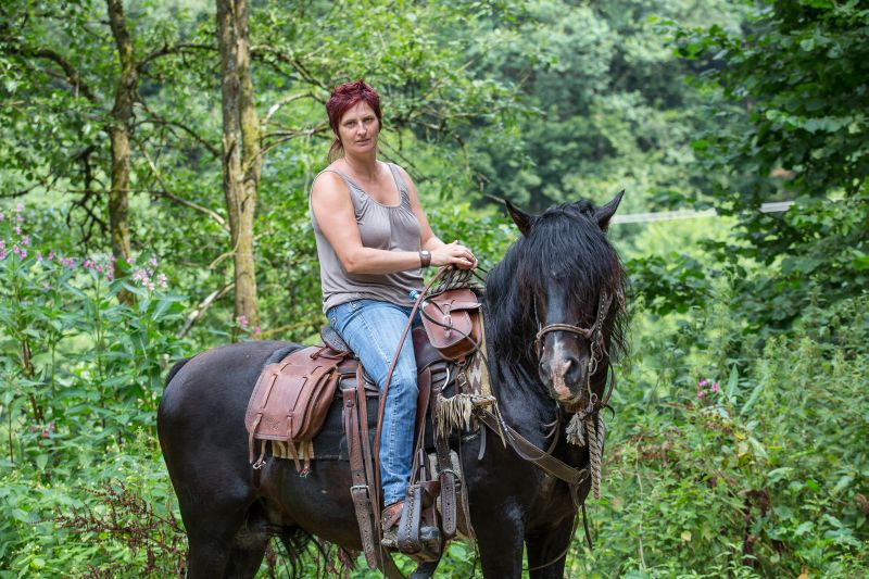 Western riding in the Bavarian Forest
<h3 class=