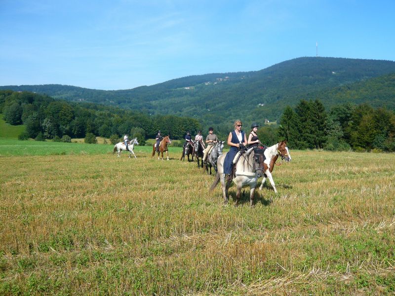 Western riding in the Bavarian Forest
<h3 class=