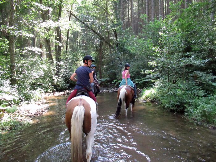 Black Forest Trail and Schluchsee Trail
