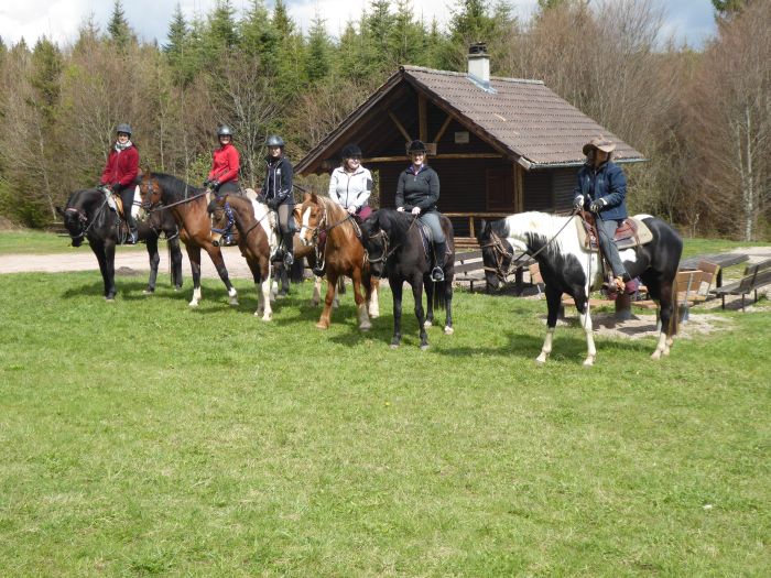 Black Forest Trail and Schluchsee Trail