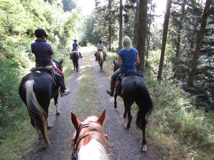 Black Forest Trail and Schluchsee Trail