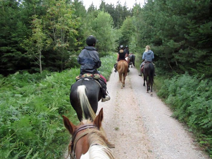 Black Forest Trail and Schluchsee Trail