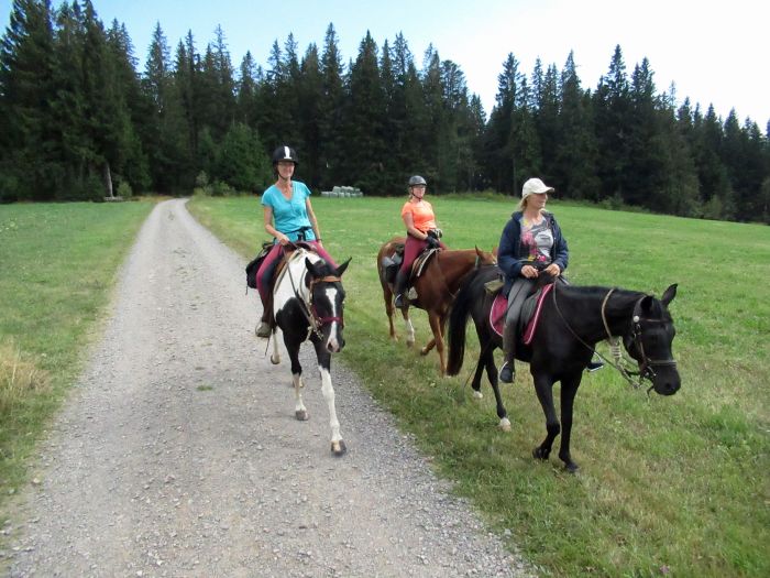 Black Forest Trail and Schluchsee Trail