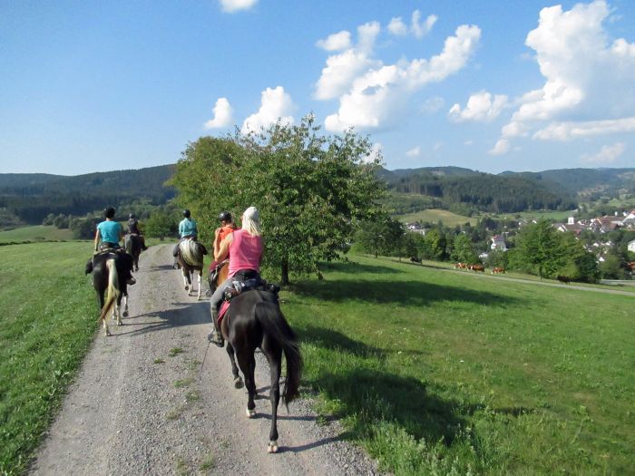 Black Forest Trail and Schluchsee Trail