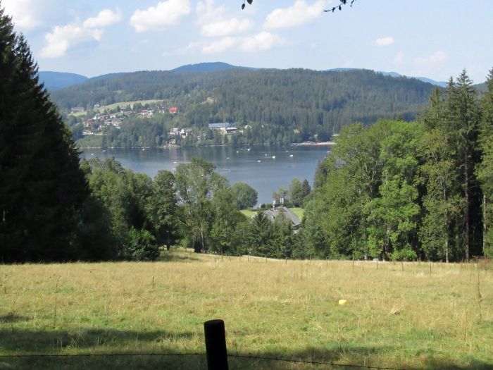Black Forest Trail and Schluchsee Trail