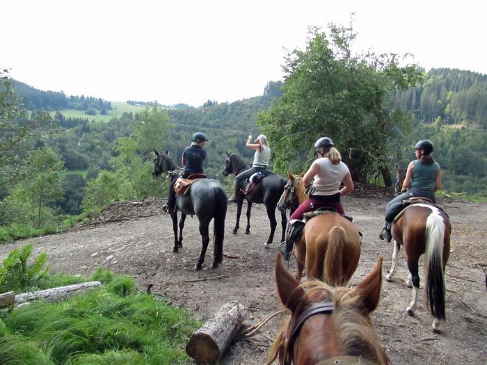 Black Forest Trail and Schluchsee Trail