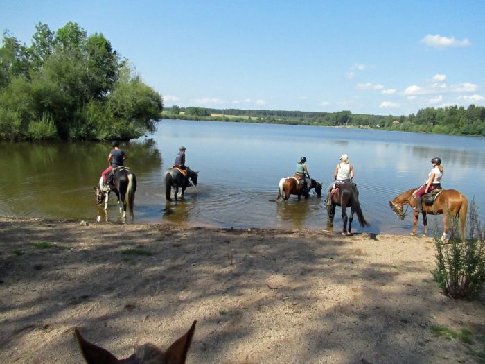 Black Forest Trail and Schluchsee Trail