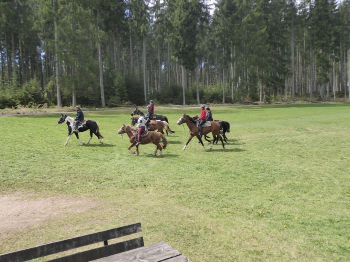 Black Forest Trail and Schluchsee Trail