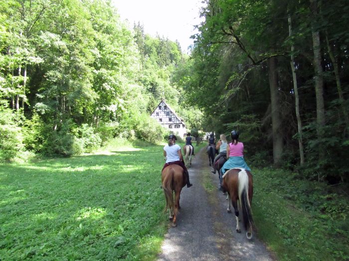 Black Forest Trail and Schluchsee Trail